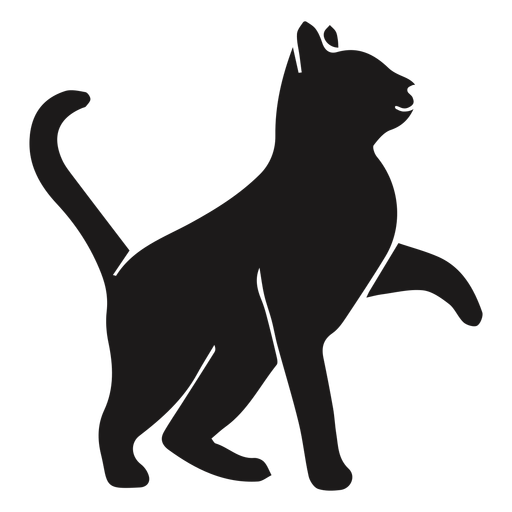 logo de gato